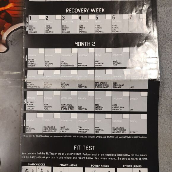 Insanity: 60 Day Total Body Workout Program 10 Disc, DVD Set Shaun T, Beachbody - Picture 12 of 14